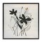 Stupell Industries Abstract Flower Squiggles Framed Giclee Wall Art Design by Susan Jill